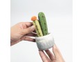 Wholesale Felt Succulents & Cactus Plants