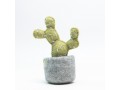 Wholesale Felt Succulents & Cactus Plants