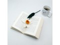 Wholesale Handmade Felt Daffodil Flowers