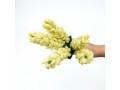 Bulk Handmade Felt Hyacinth Flowers - Felt and Yarn Bulk Handmade Felt Hyacinth Flowers - Felt and Yarn