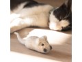 Wholesale Wool Felt Mice Cat Toys