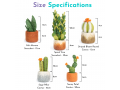 Wholesale Felt Succulents & Cactus Plants