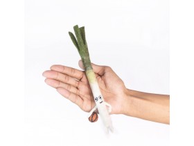 Wool Felt Leek Basketball Character Ornament - Felt and Yarn