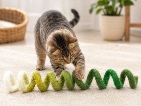 Cat Batting Wholesale Spiral Wool Felt Cat Fetch Toy