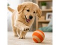 Wholesale Striped Wool Felt Dog Balls Pack