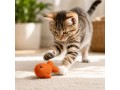 Wholesale Wool Felt Fish Cat Toy