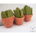 7cm Small Cactus with Pot