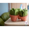 7cm Small Cactus with Pot