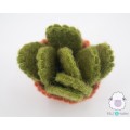7cm Small Cactus with Pot