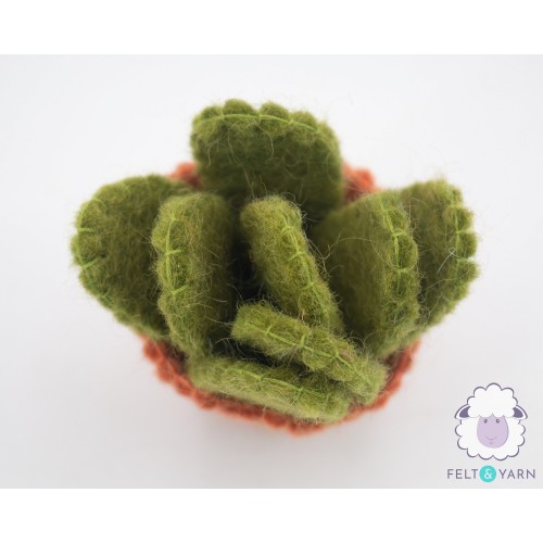 7cm Small Cactus with Pot