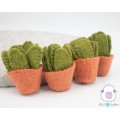 7cm Small Cactus with Pot