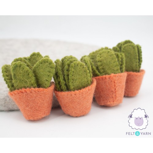 7cm Small Cactus with Pot