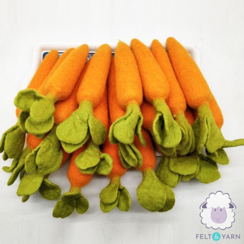 Bright Orange Carrot