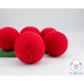 Wool Felt Red Apple