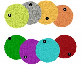 Multicolor Felt Seat Pad