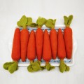 Large Orange Carrots