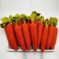 Large Orange Carrots