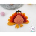 Cool Thanksgiving Turkey