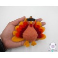 Cool Thanksgiving Turkey