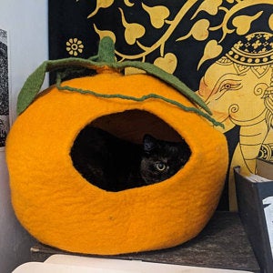Wool Felt Pumpkin Cat Cave - Felt and Yarn