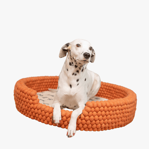 Wool Dog Beds