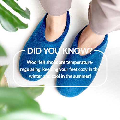 Facts about Felt Shoes