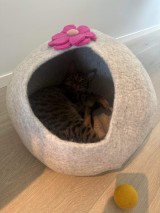 Wholesale Wool Felt Cat Cave