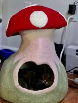 Felt Mushroom Cat House