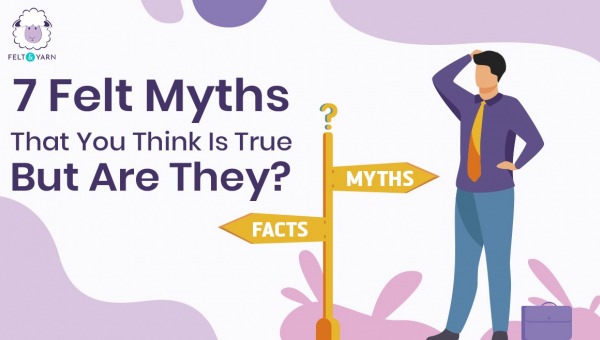 7 Felt Myths That You Think are True But Are They?