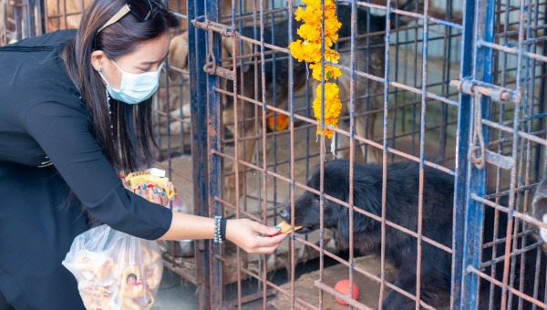 FNY Celebrates Kukur Tihar at KAT Centre